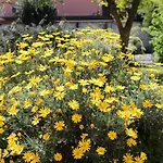 Casa Munay Guest house Bologna
