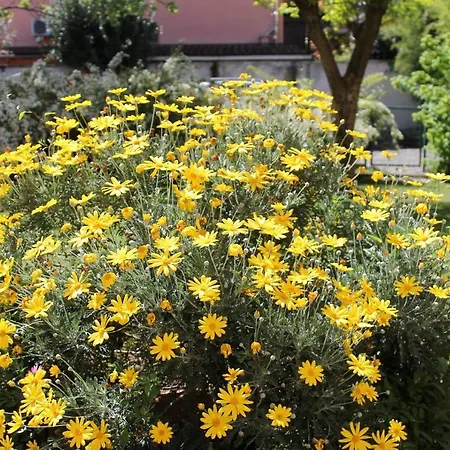 Casa Munay Konukevi Bolonya