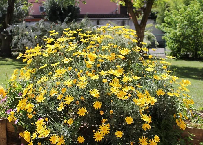 Casa Munay Affittacamere Bologna